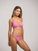 Braguita Brasileña Taci
