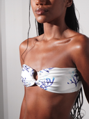 Top Iara